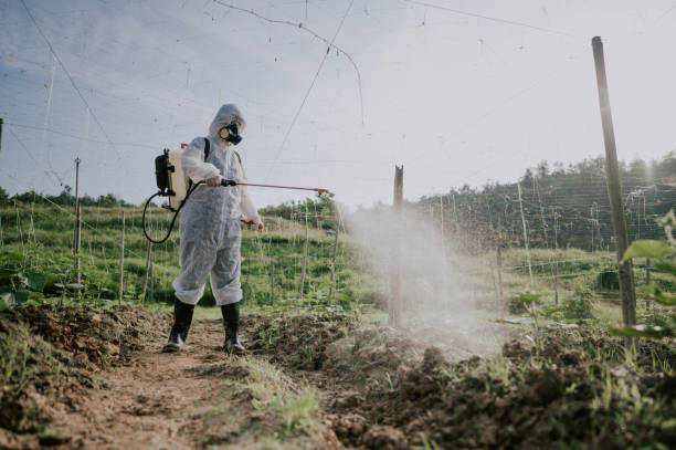 Best Best Pest Control Companies  in Yorkshire, VA