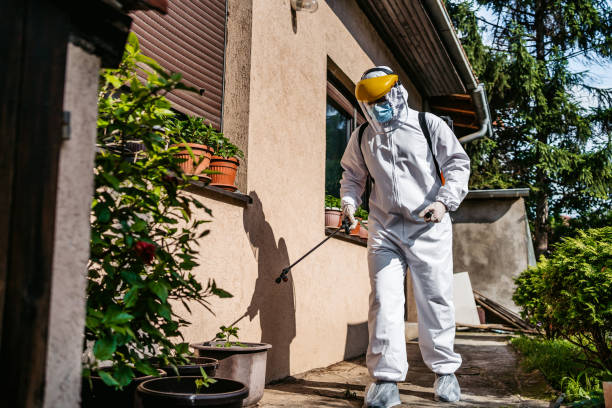 Best Pest Control Near Me  in Yorkshire, VA