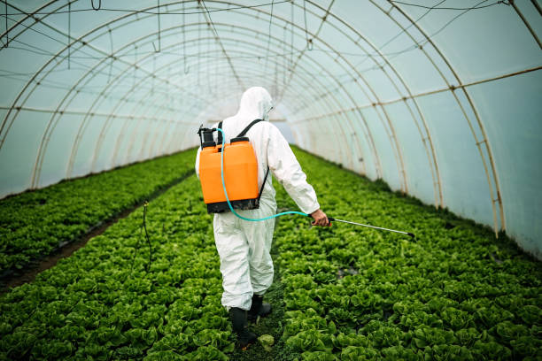 Best Pest Prevention Services  in Yorkshire, VA