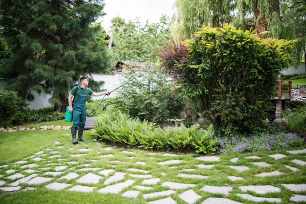 Best Mosquito Control Services  in Yorkshire, VA