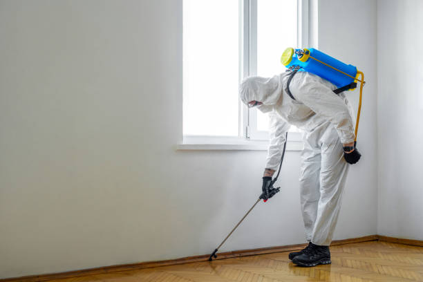 Best Exterminator Services  in Yorkshire, VA