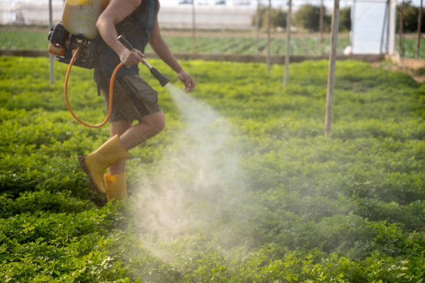 Best Commercial Pest Control Services  in Yorkshire, VA