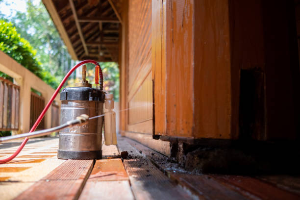 Best Local Pest Control Services  in Yorkshire, VA