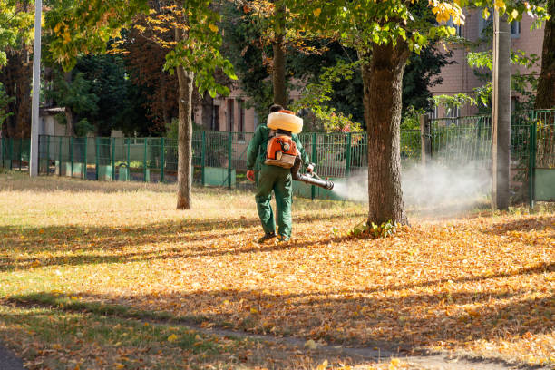 Best Wasp Removal Services  in Yorkshire, VA