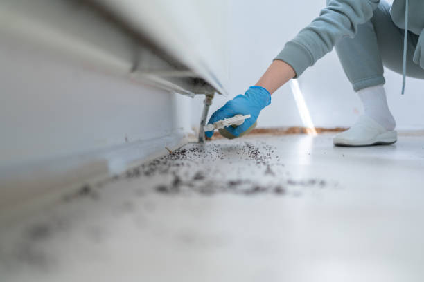 Best Wildlife Control Services  in Yorkshire, VA