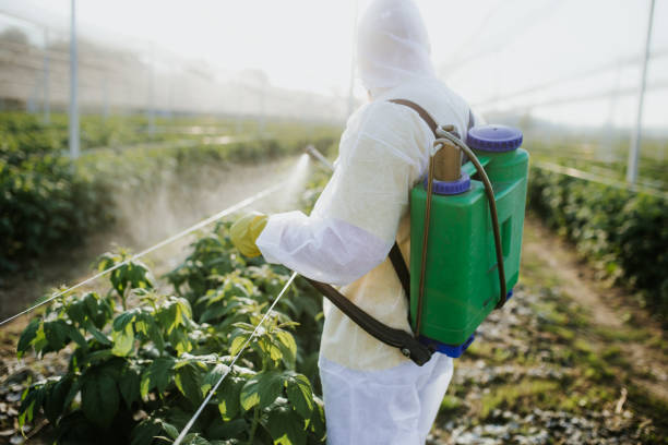 Best Flea Control Services  in Yorkshire, VA